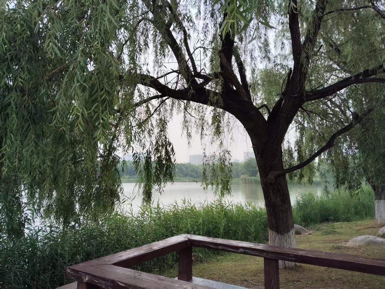 泰柬冲突，这是一场很有意思的战争:

1:     泰王从东大回来没多久就打起来