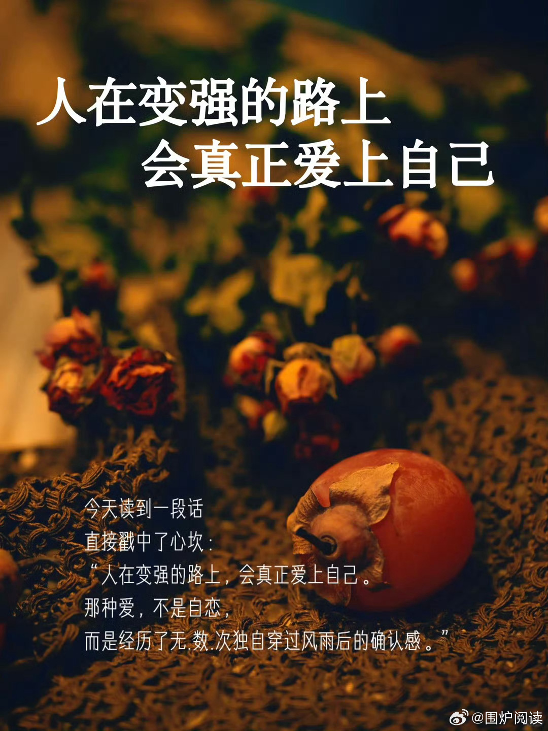 人在变强的路上，会真正爱上自己。那种爱，不是自恋，而是经历了无.数.次独自穿过风