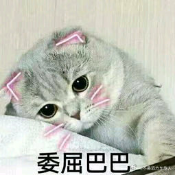 老外做游戏开始抄鹅厂作业了今年科隆游戏展中国游戏杀疯了五款国产手游包揽最佳移动游