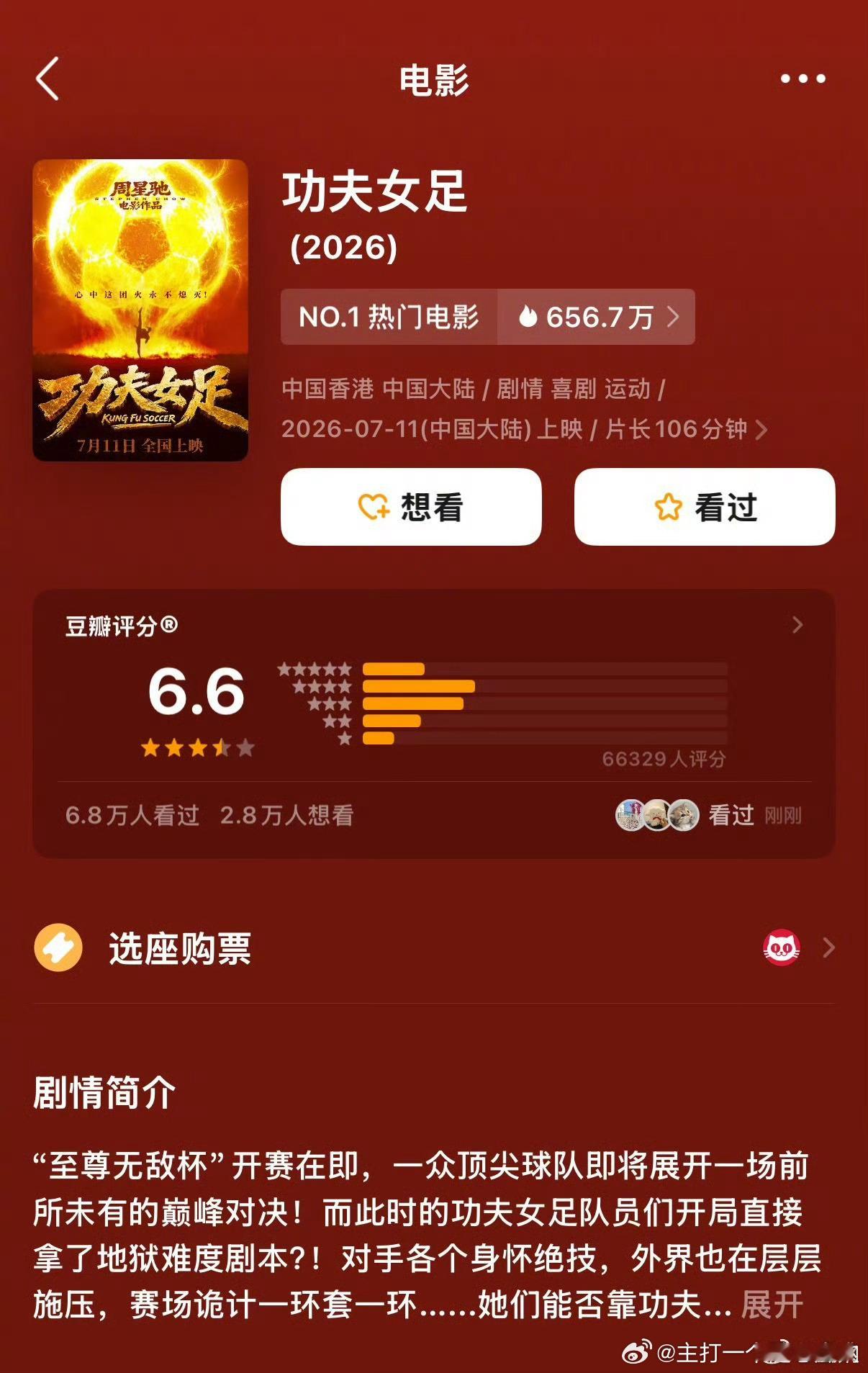 功夫女足上映第二天豆瓣开分6.6分，怎么样？高还是低了 