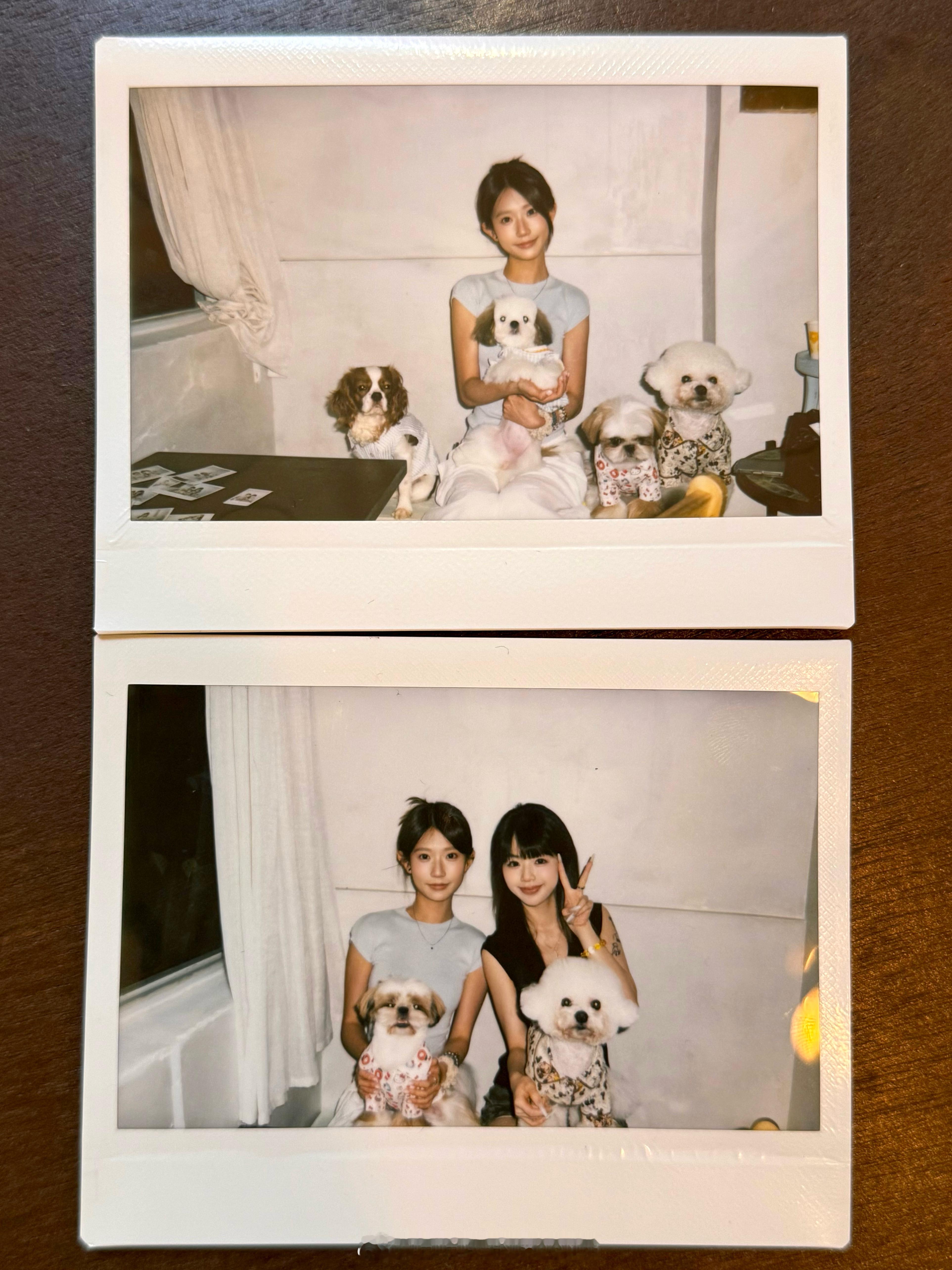 小狗说：你们人类真漂亮O 👅 O✨ ​​​