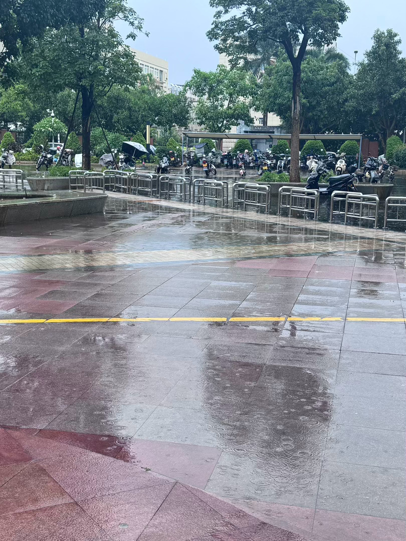 当预报有雨有雨 