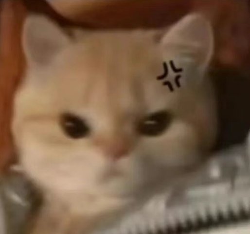 显然，沈宗年这泼被萌得说不出话了[吃馕][吃馕] ​​​