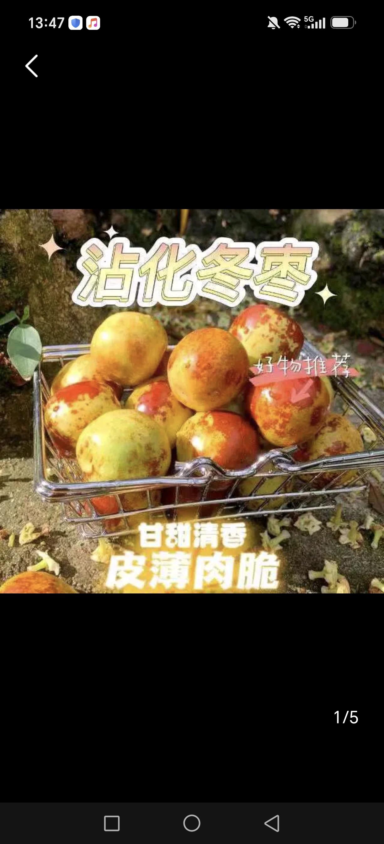 第二十八届沾化冬枣节2026年9月23日在滨州沾化区市民活动中心开幕，主题为“金