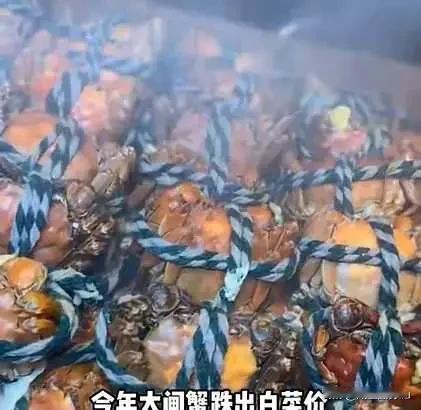 大闸蟹价格大跌反映出的是消费者开始理性消费，我觉得过去消费者还是很在乎面子的，很