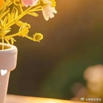 🌼²º²⁶/₀₃.₁₁𝙂𝙤𝙤𝙙 𝙢𝙤𝙧𝙣𝙞𝙣𝙜🌻总有远