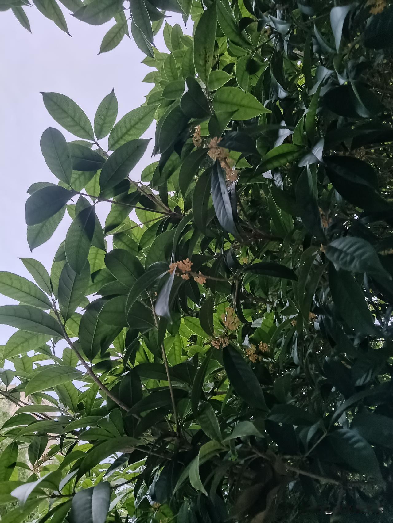 @豆包 帮我点评