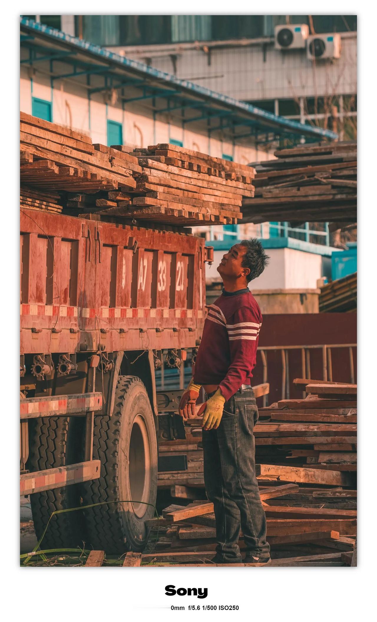 今天去郑州的月季公园去玩，拍了很多照片，以后会经常更新照片给各位友友，谢谢各位支