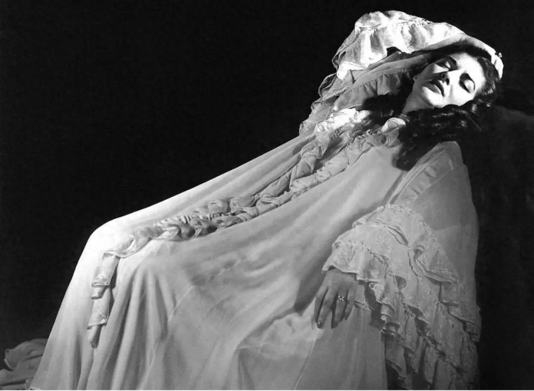 1824年，一位女裁缝为大仲马生下了私生子小仲马，18年后，小仲马疯狂爱上了一个