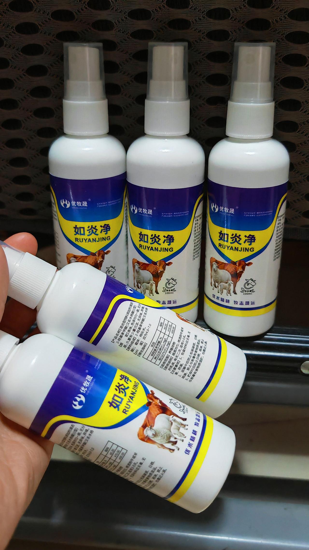 养羊人 农村养羊 养殖人