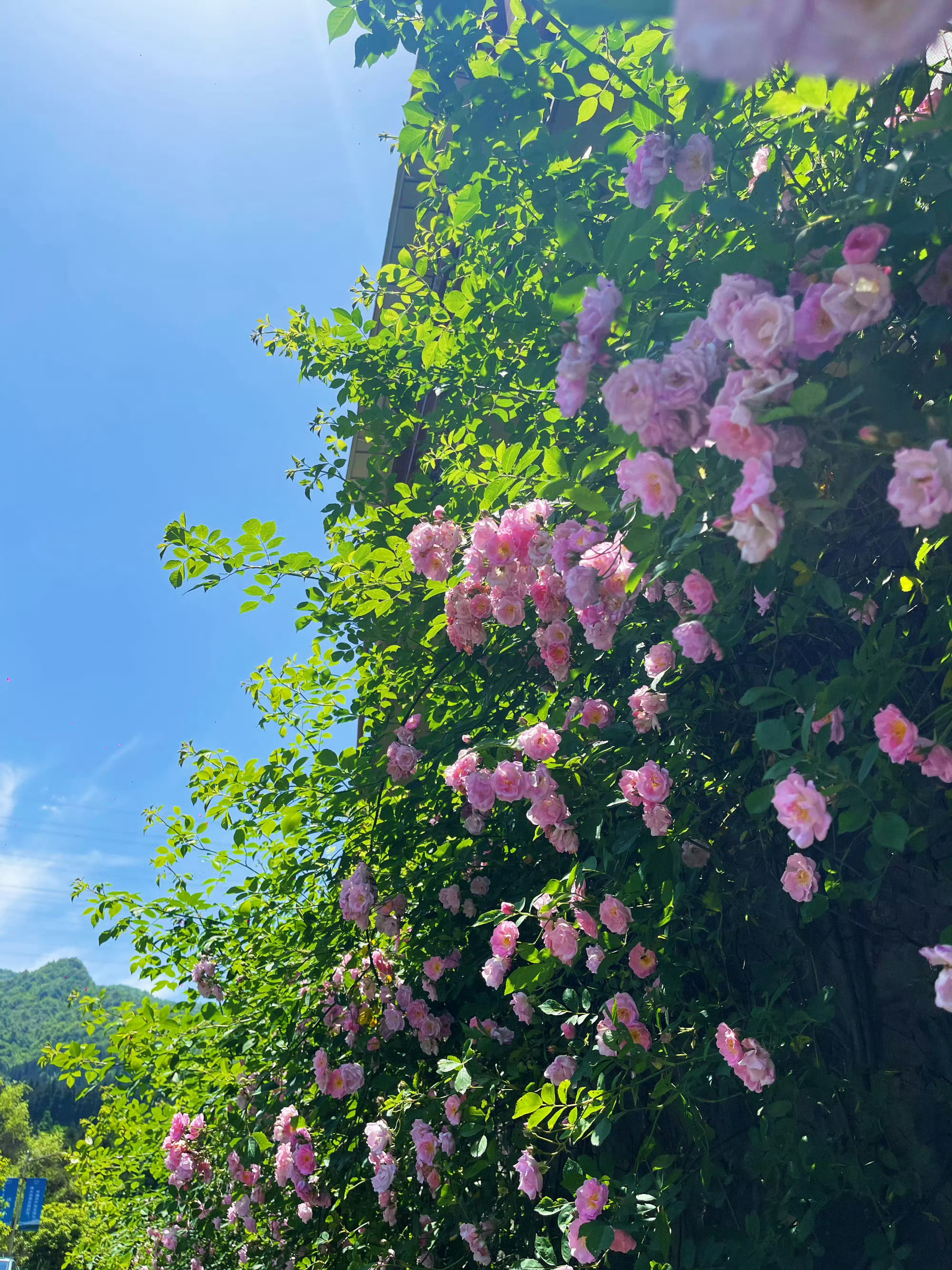 好多的事情，时间一过自己对其的看法就会起很大的变化，如果再等到自己所处的条件和位