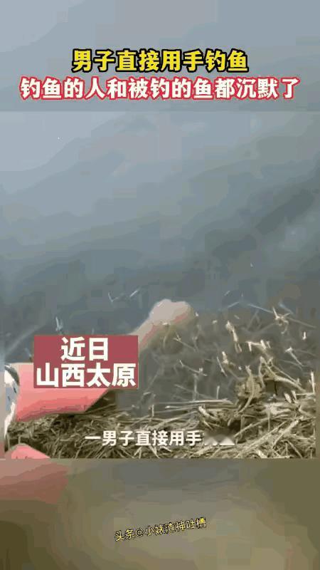 这样也能钓鱼？把我震惊了，这条鱼估计是除了姜太公钓走的那条鱼之外，最悲催的一条鱼