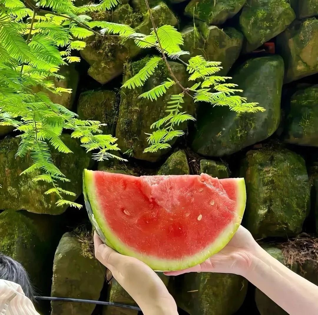 ɪᴛ’ꜱ ᴏᴋ ｜◡̈♥︎放下不是输，而是懂得了取舍。 ​​​