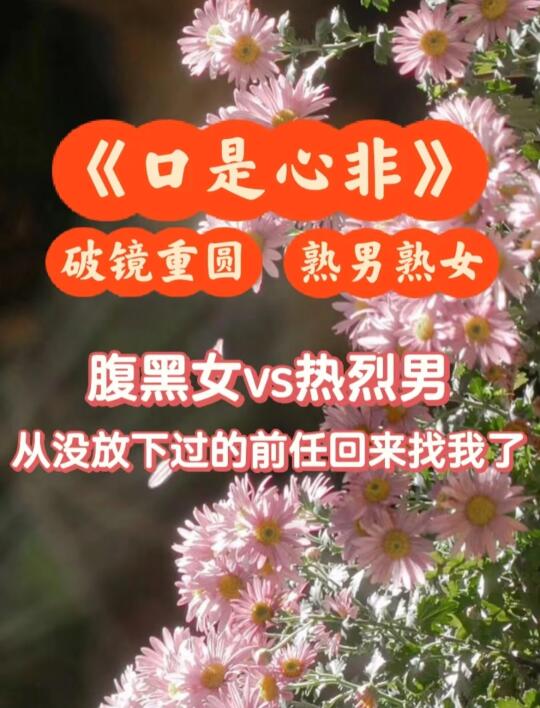 腹黑女VS热烈男，从没放下过前任的她