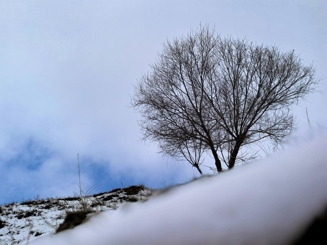 西北乡下，下雪了，同样别有一番风韵。

定西位于甘肃中部，以前称陇右，唐以前是朝