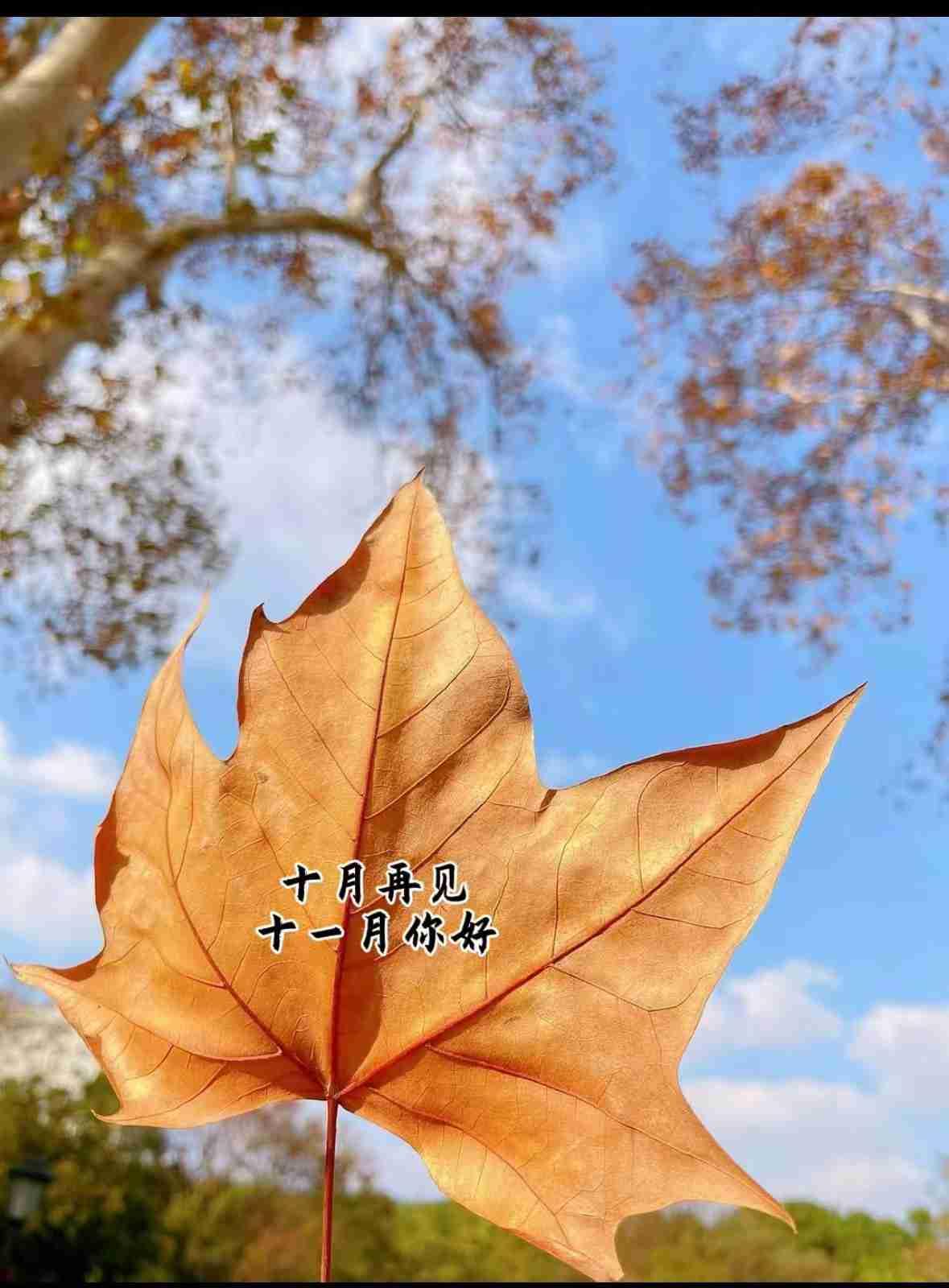 我的今日状态：😁轻松愉快
我这里的天气：🌤️多云