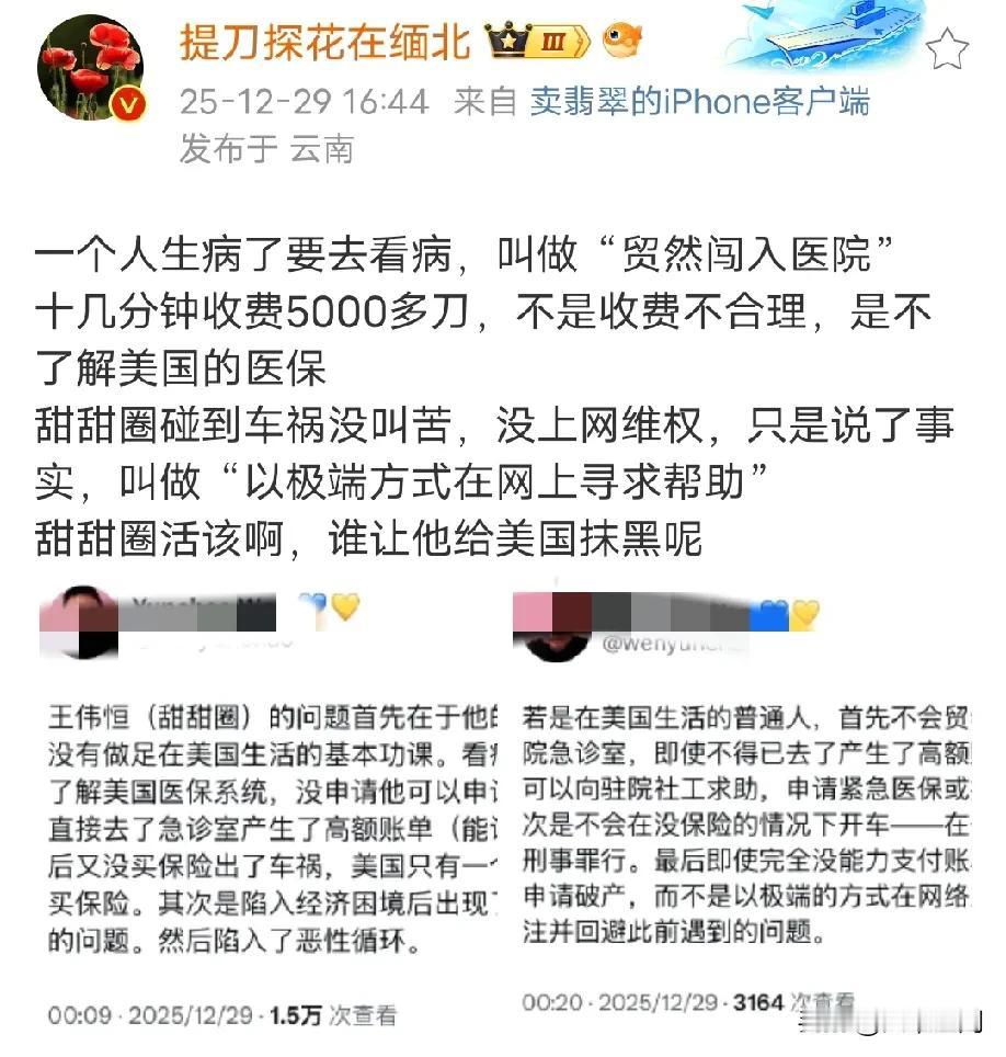 润人为了给美国辩护，把甜甜圈王伟恒说得如此不堪，真的服了这群润人了，说甜甜圈因为