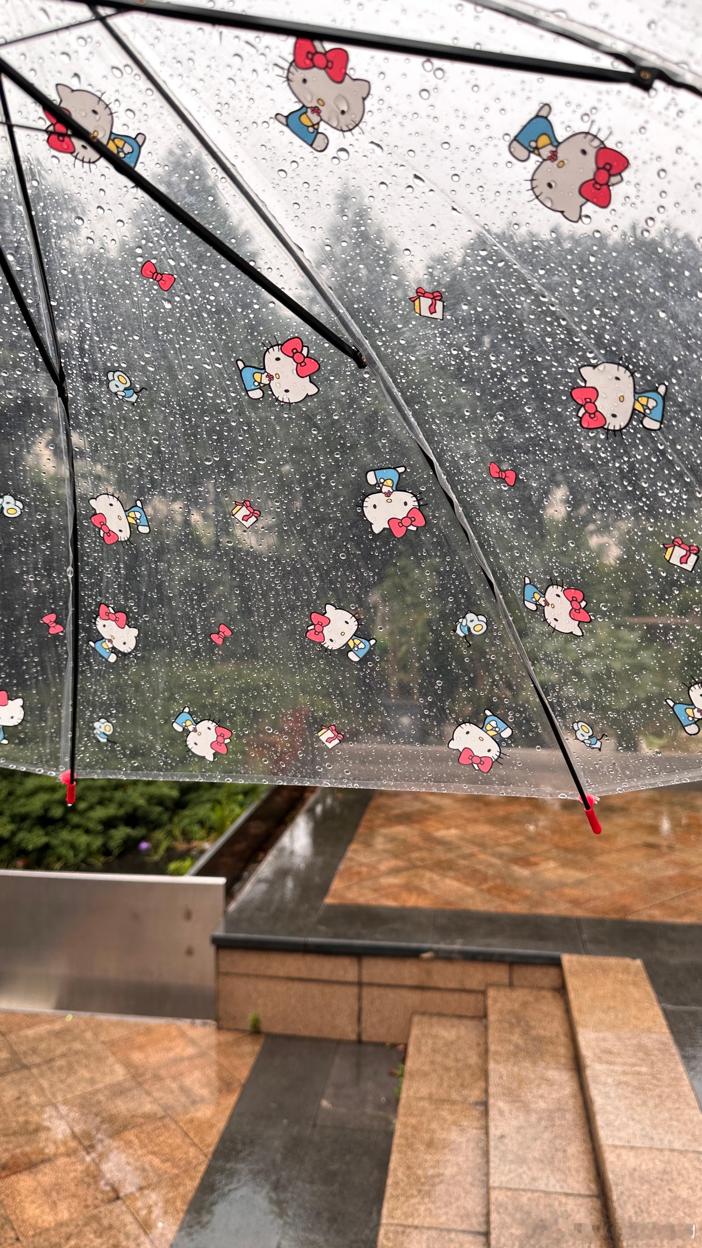我有时候觉得，被今年的雨作局了。昨天下班我在13楼办公室，没下雨。我到一楼就下起