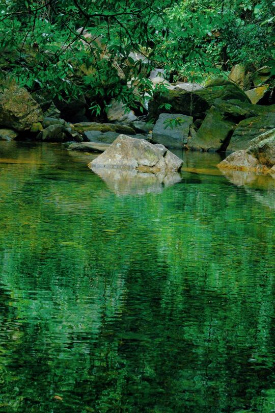 2.15肇庆  鼎湖山的春天是绝美山水画