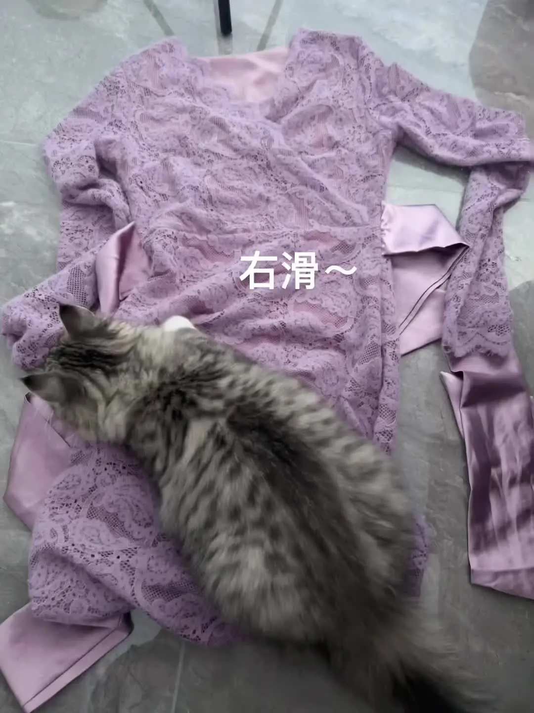 不愧是紫色呢