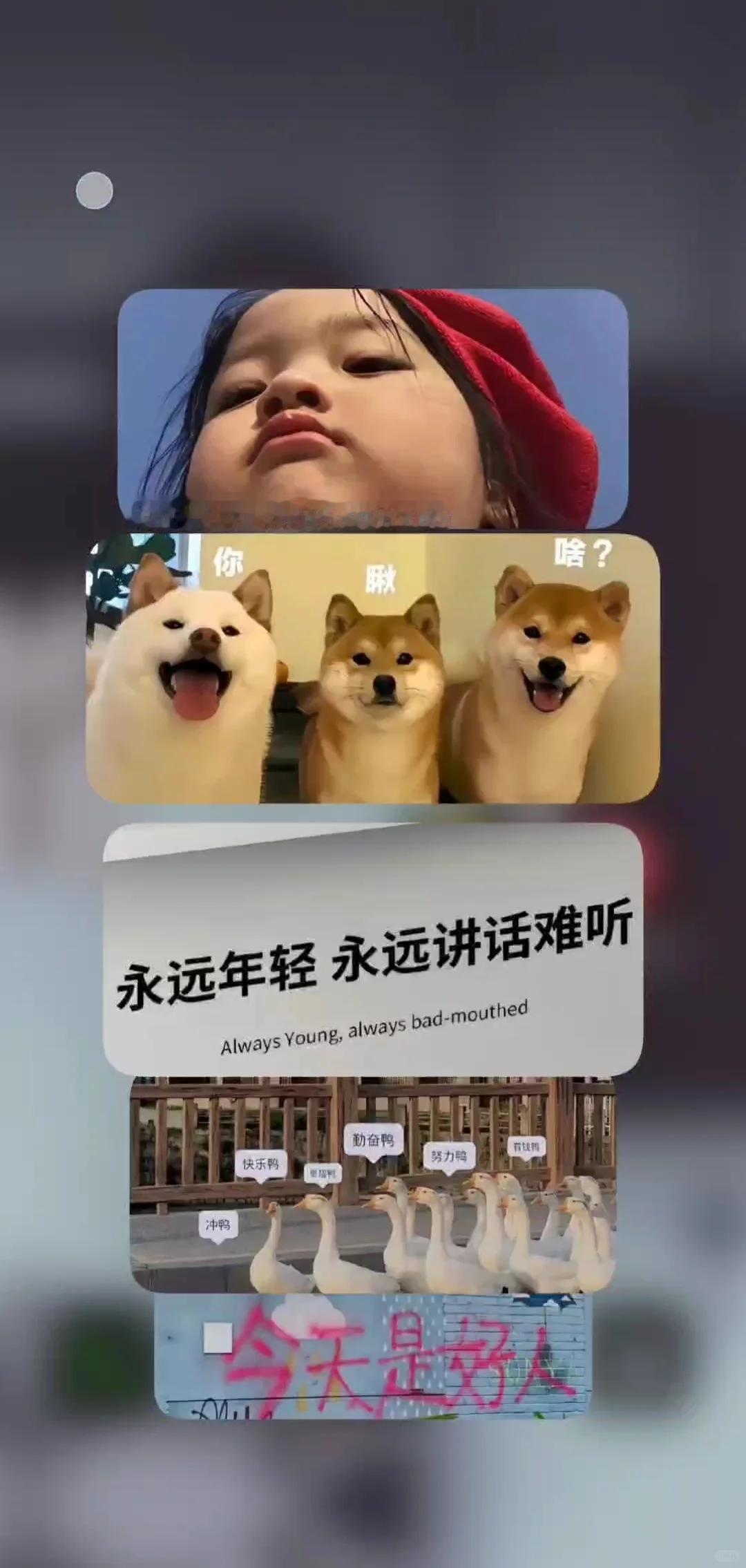 OPPO是蕞流畅的手机系统吗？

现在敢和苹果iOS比流畅度的手机系统，OPPO