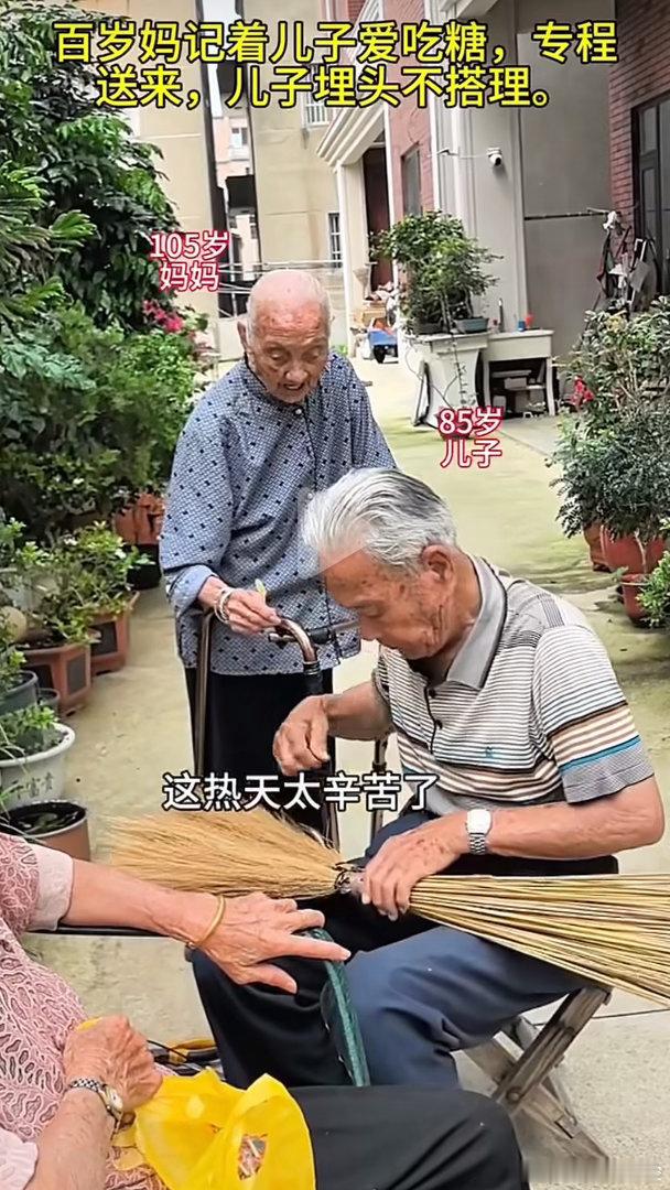 105岁老妈说85岁儿子这辈子完了 105 岁母亲一句感慨，评价 85 岁的儿子