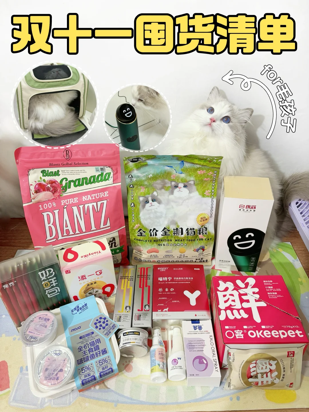 🐈毛孩子双11囤货清单｜省钱又省心❤️必看