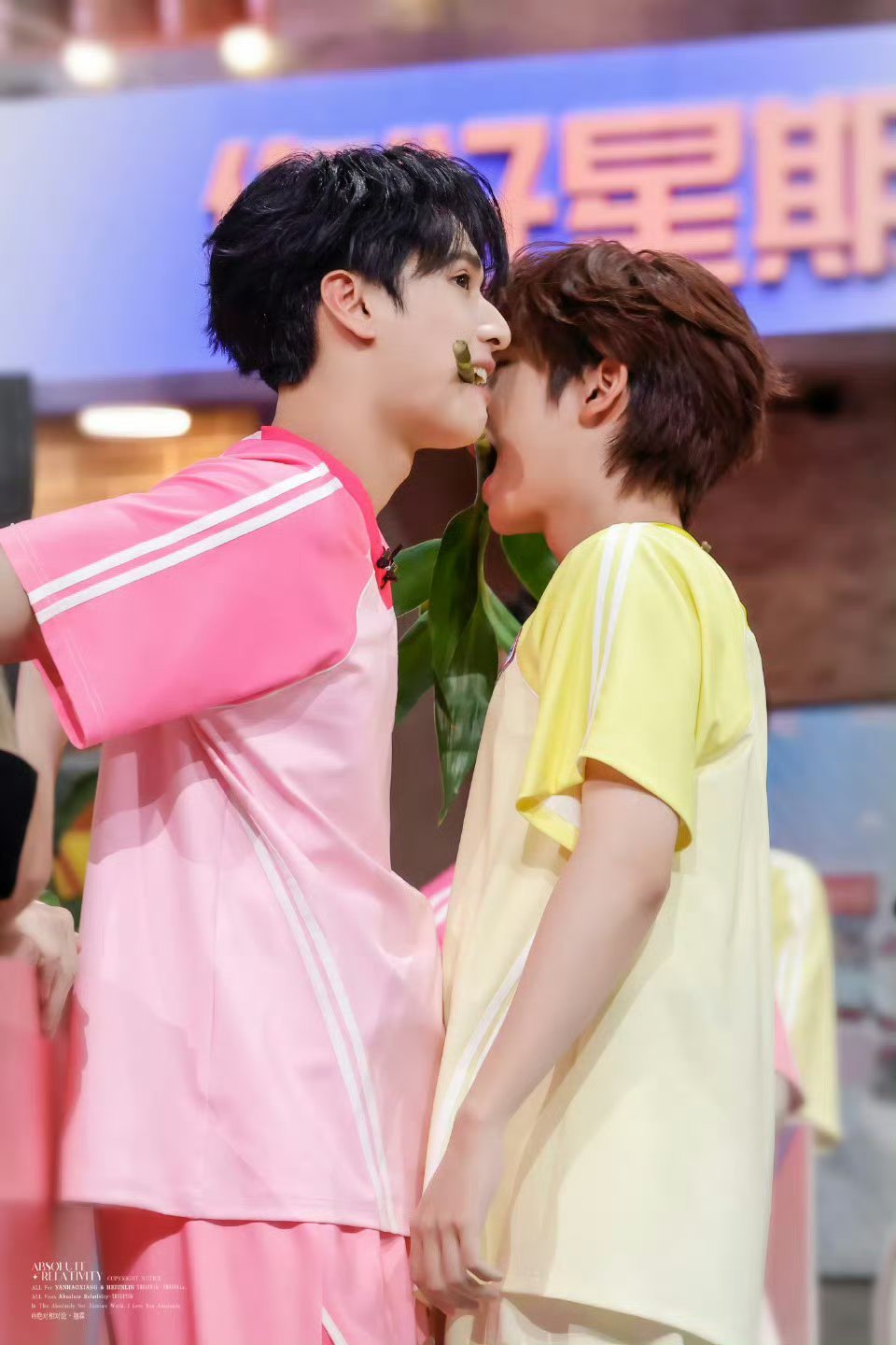 哎呀呀 下一步就是官宣💙💗翔霖富贵竹
