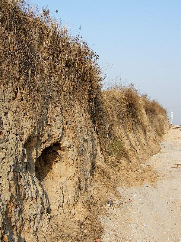 秦咸阳城考古新发现：出土文物还原大秦帝国的真实运行细节

近日，秦咸阳城的考古现