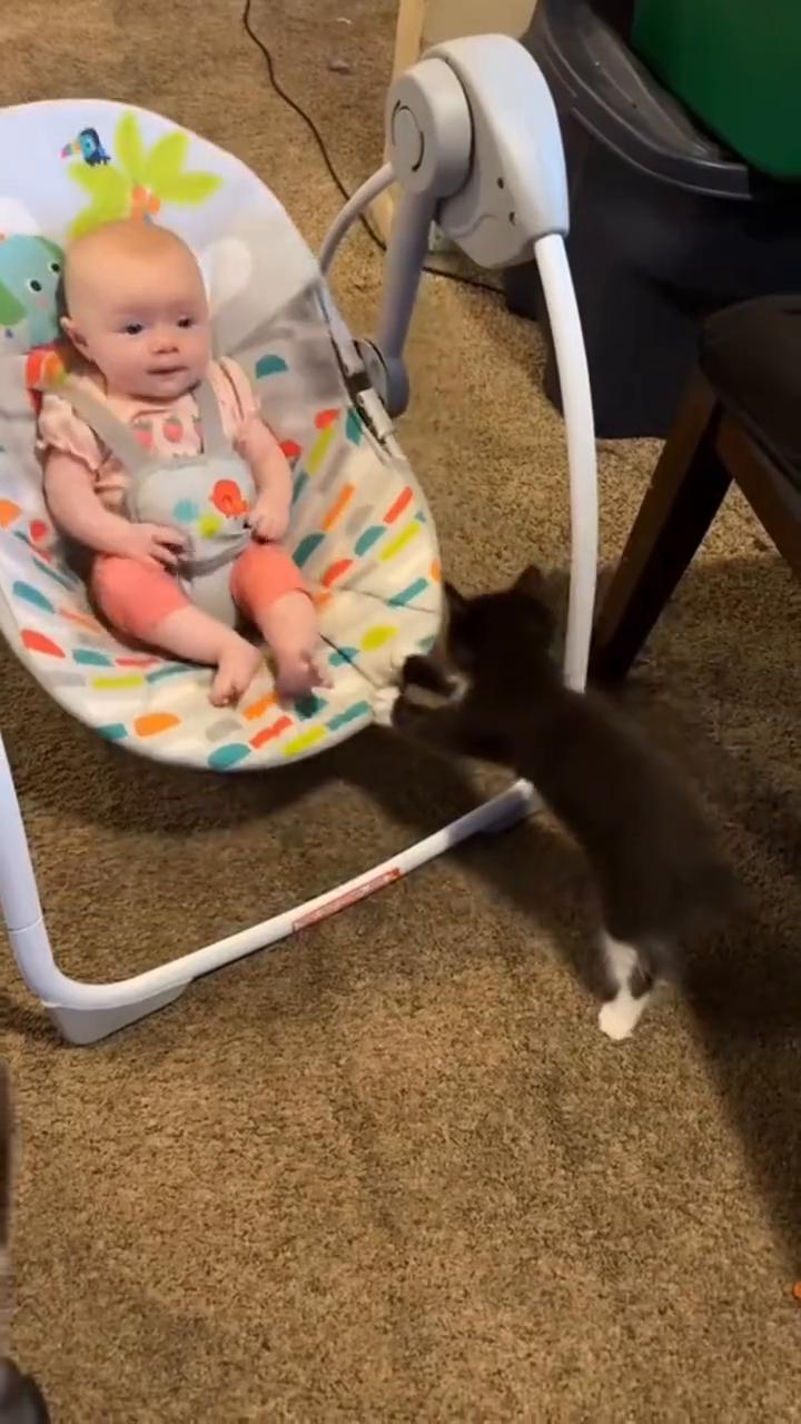 猫咪喜欢和婴儿一起睡觉，猫咪在婴儿面前表现得非常温顺乖巧。