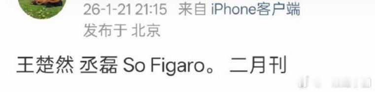 哇！王楚然 丞磊 有杂志！《Sofigaro》二月刊咱《成何体统》很给力啊