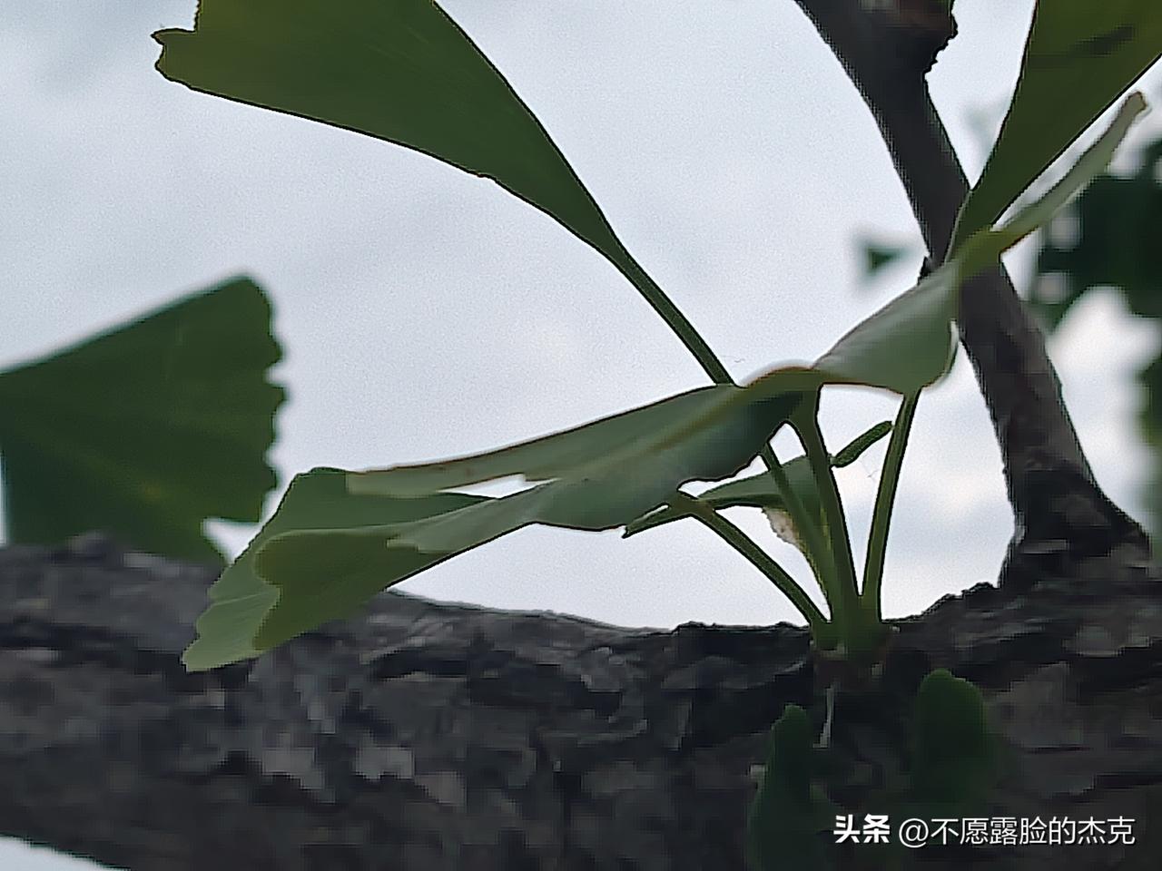 记录我的2026