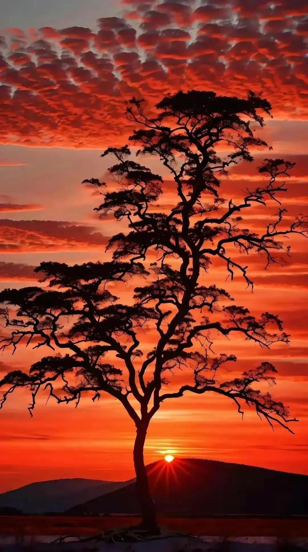 为什么有的人会偏爱一个人呢？我家是 4 口人，我老大，下面一个妹妹，两个弟弟。