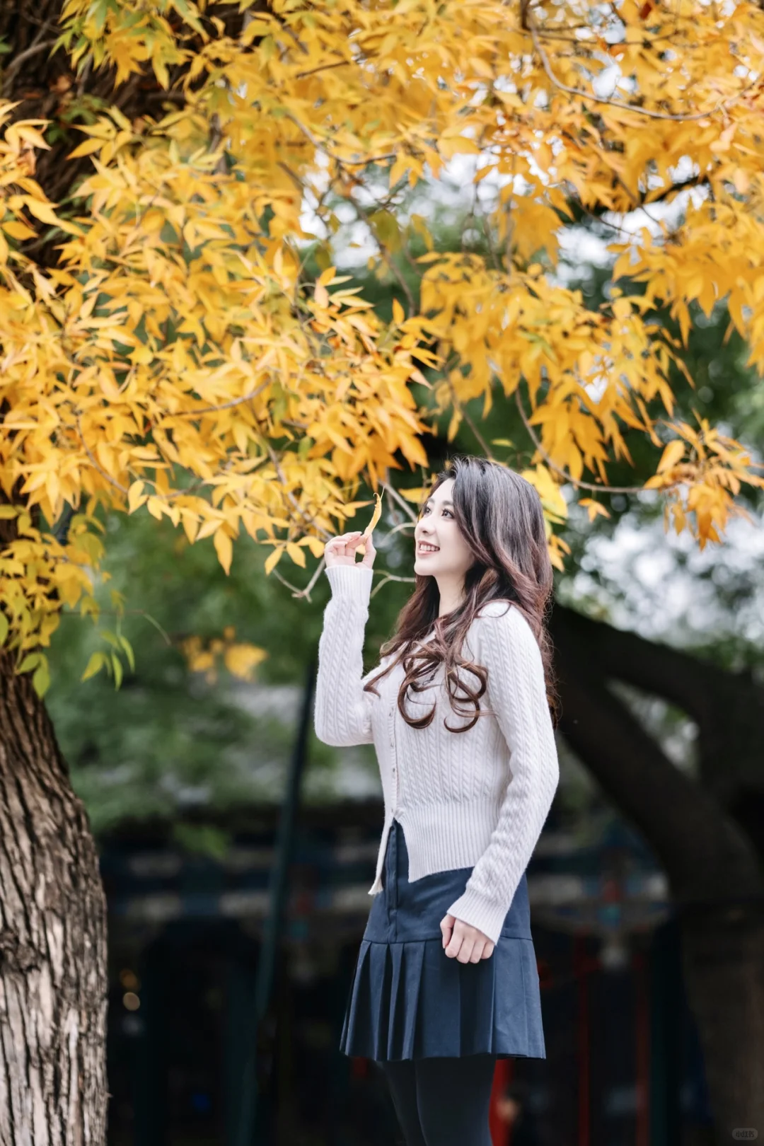 必去🍂北京秋天旅游最美的20大赏秋地别错过