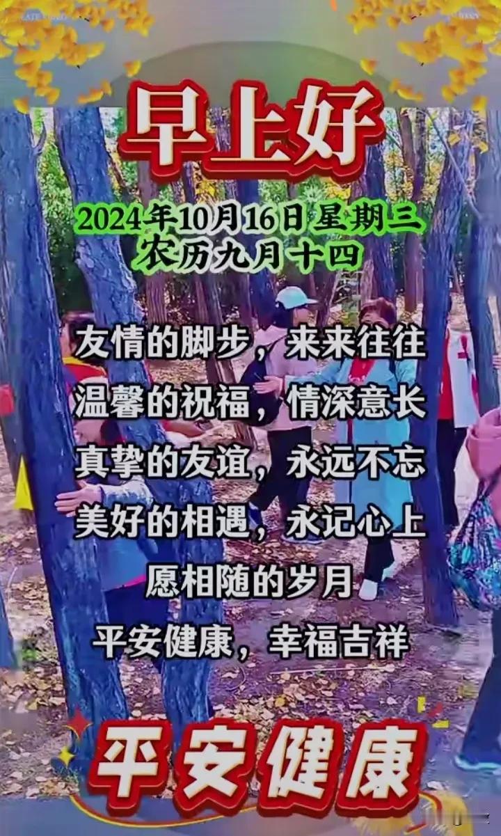 秋风秋雨秋叶黄，满地是叶绕风卷景象。
珍惜可贵的时光，笑对自己变老的模样。
阳光