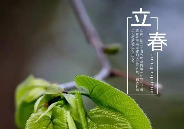 明天就是立春，解郁的好时候
立春意味着春天来了，春天万物复苏，是一个生发的季节，