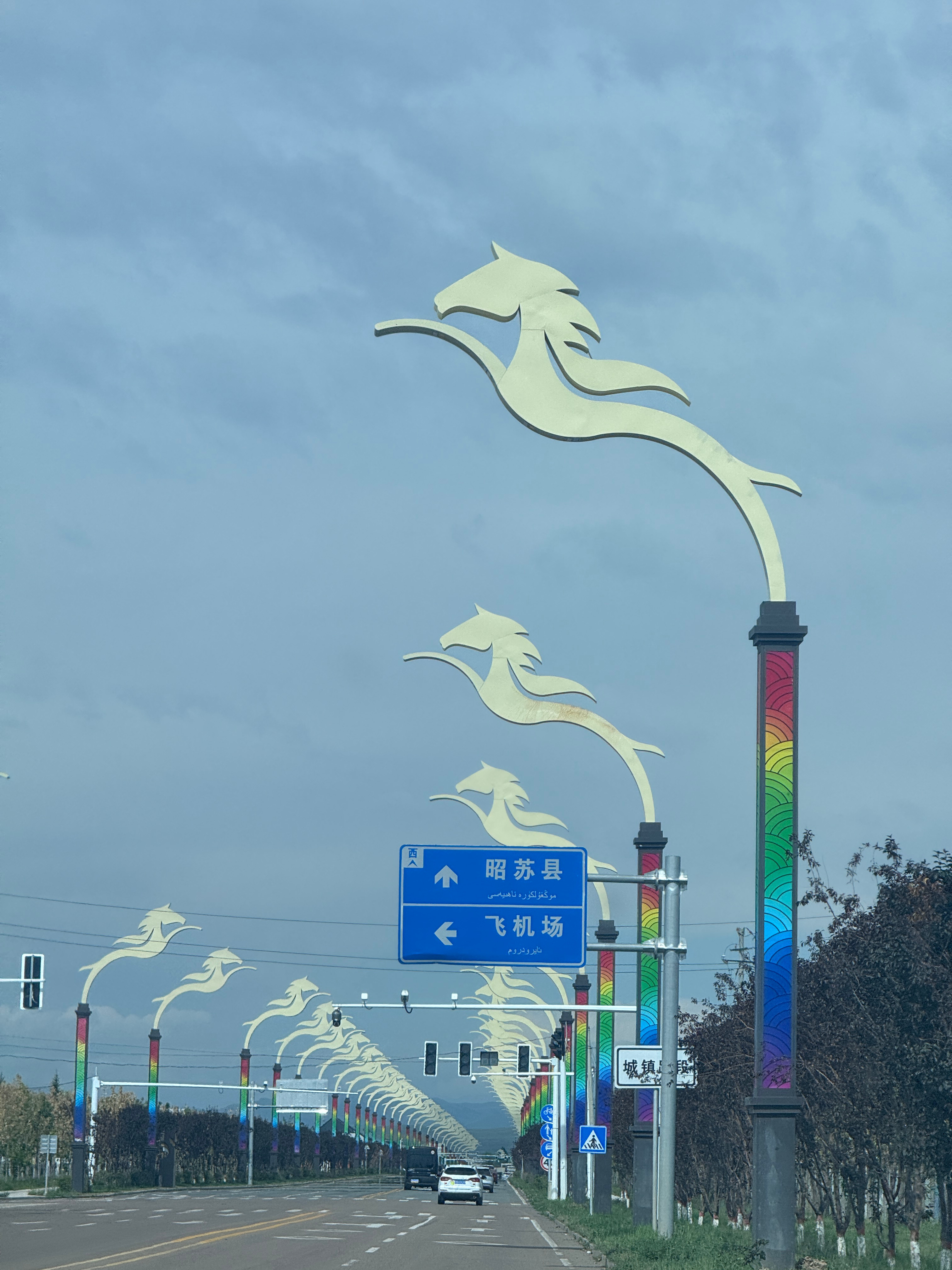 昭苏的路灯都是马🐎我的日常plog 伊犁·昭苏
