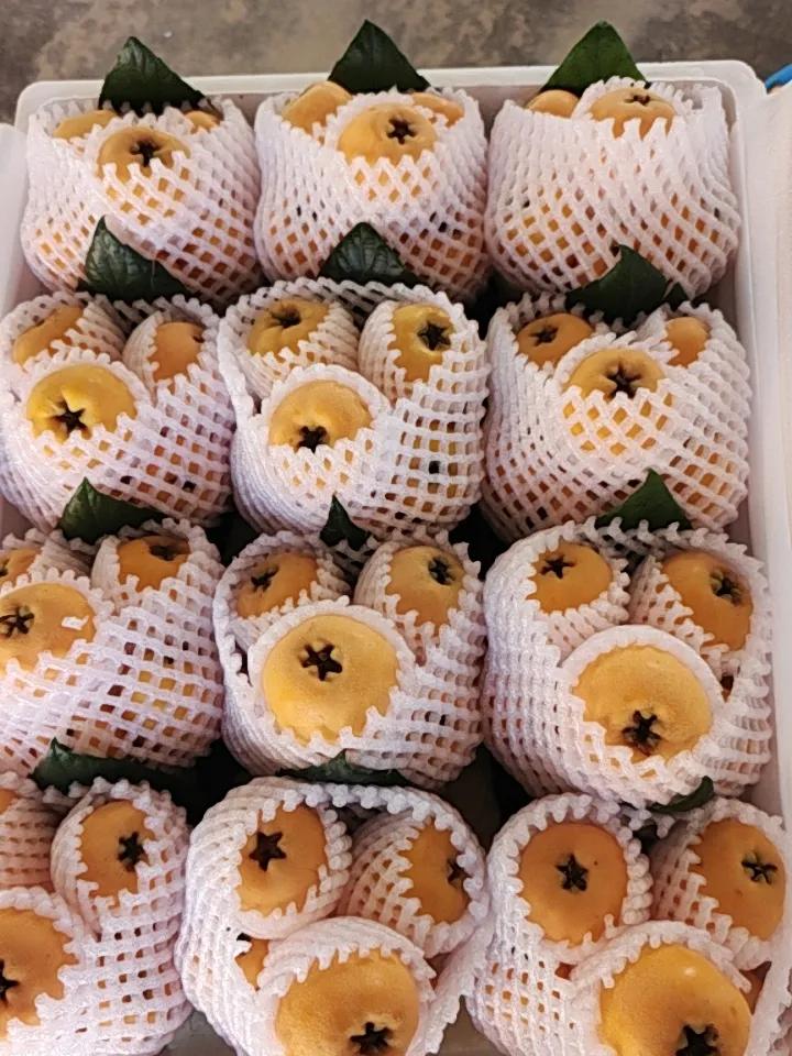 根据当前局势，美以对伊朗的军事行动可能刺激全球军备需求，并强化国防安全的重要性。