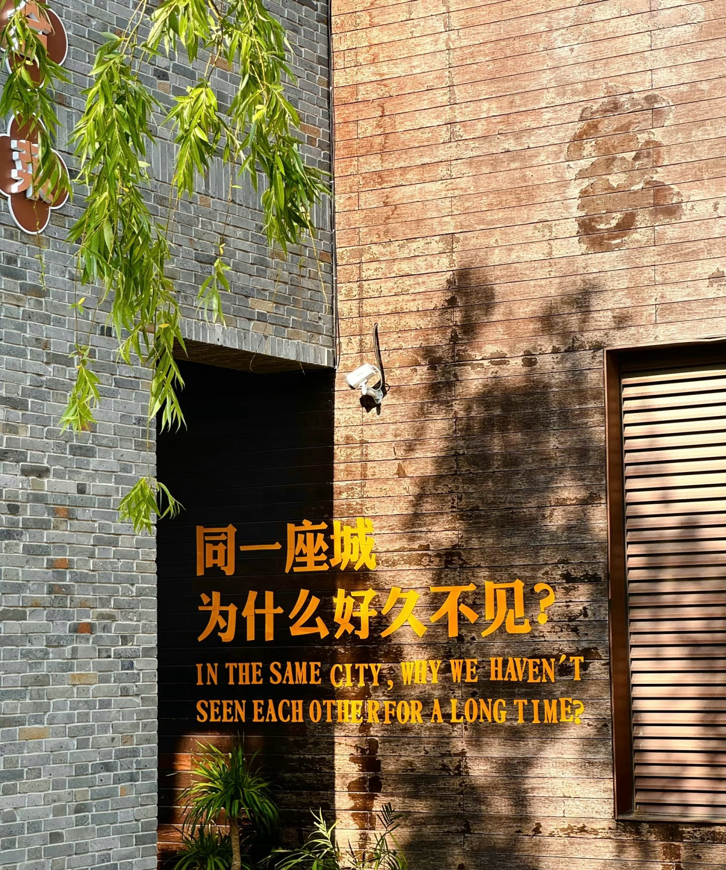 我真的好爱她，希望新的一个月要多多和她见面[挤眼][挤眼]杨幂新商务合作预热杨幂