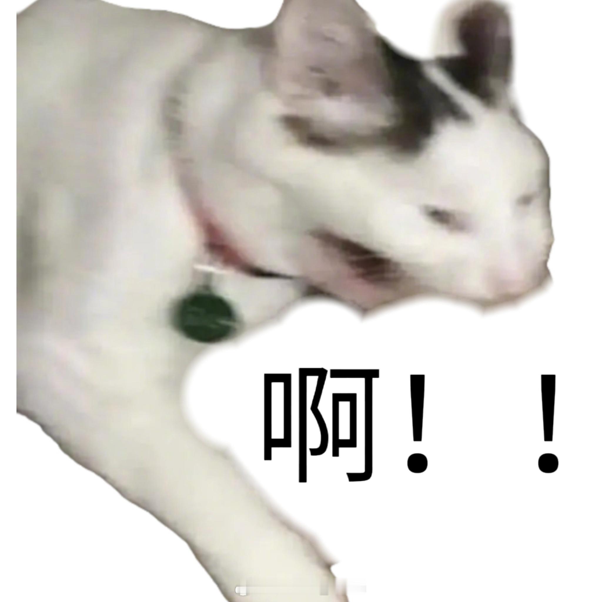 不是？东北大学咋了？看不到了？ ​​​