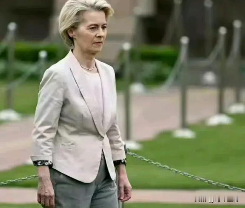 曲线援乌，一举双赢。
冯德莱恩呼吁欧洲国家从乌克兰采购军备，她说乌克兰的军工产品