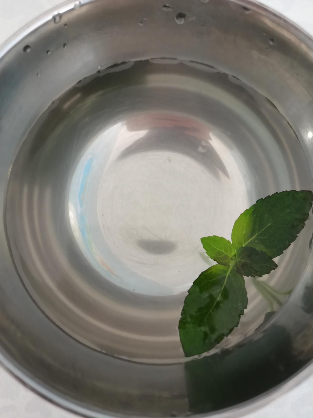 夏日生活打卡季我自己种的薄荷，今天剪下来一朵，冲泡了一杯热水，满满的薄荷味道，很