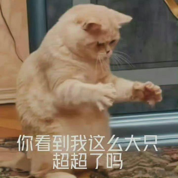 任嘉伦粉丝寂寞如雪 我辣么大的任国超呢 