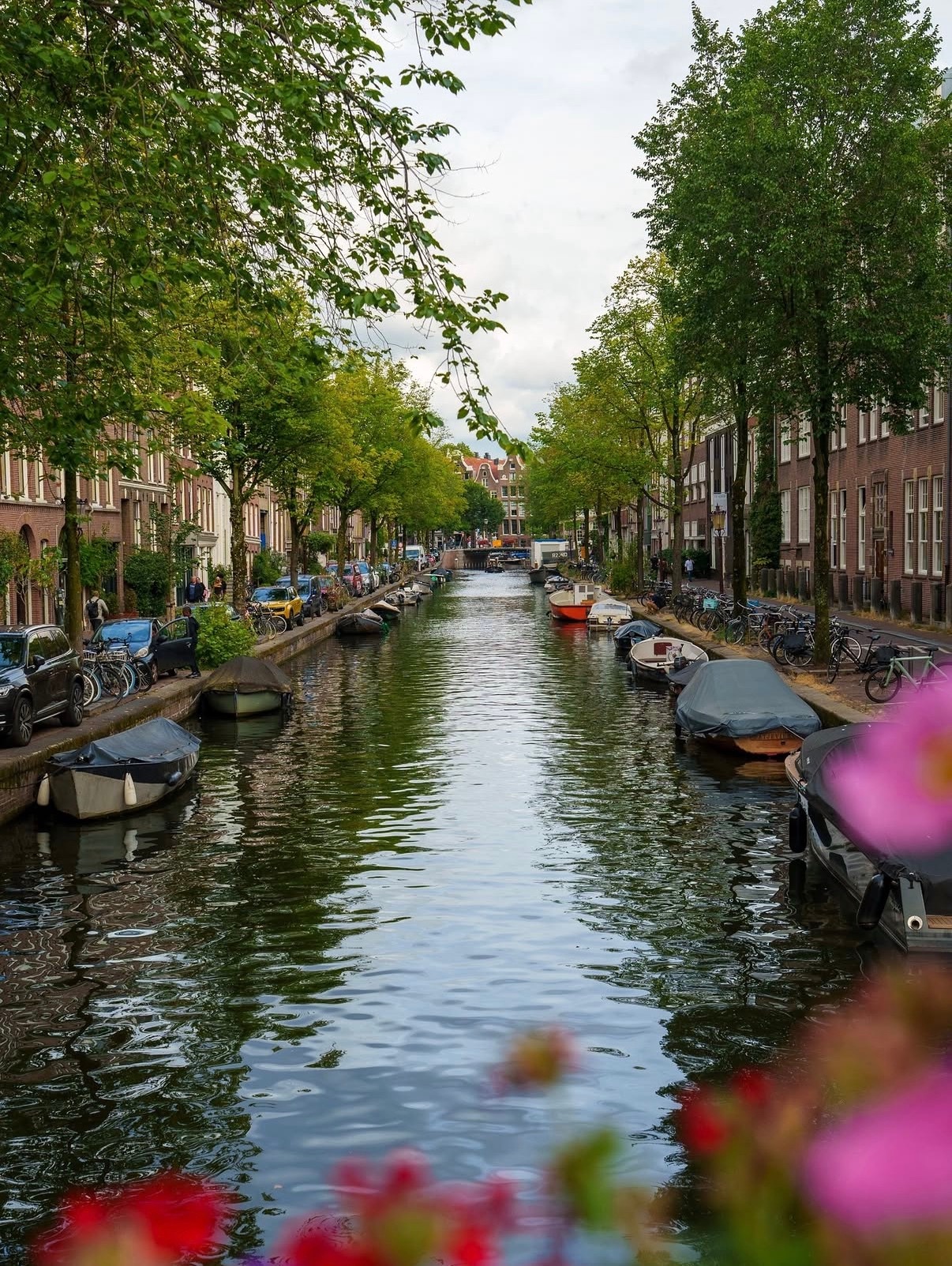 又是这个熟悉的感觉🇳🇱😃哈斯F1车队2026F1荷兰大奖赛