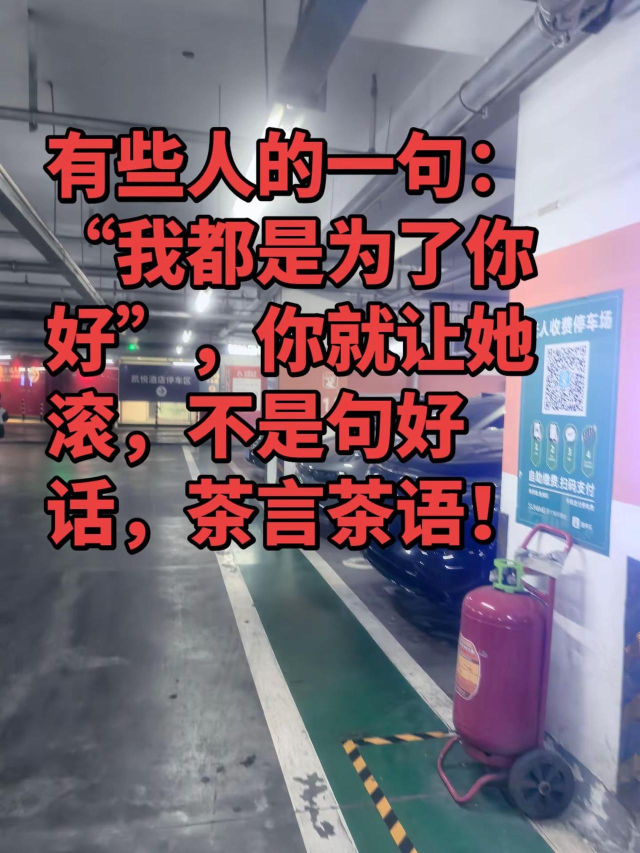 无非就是想在你的地盘兴风作浪指指点点！
