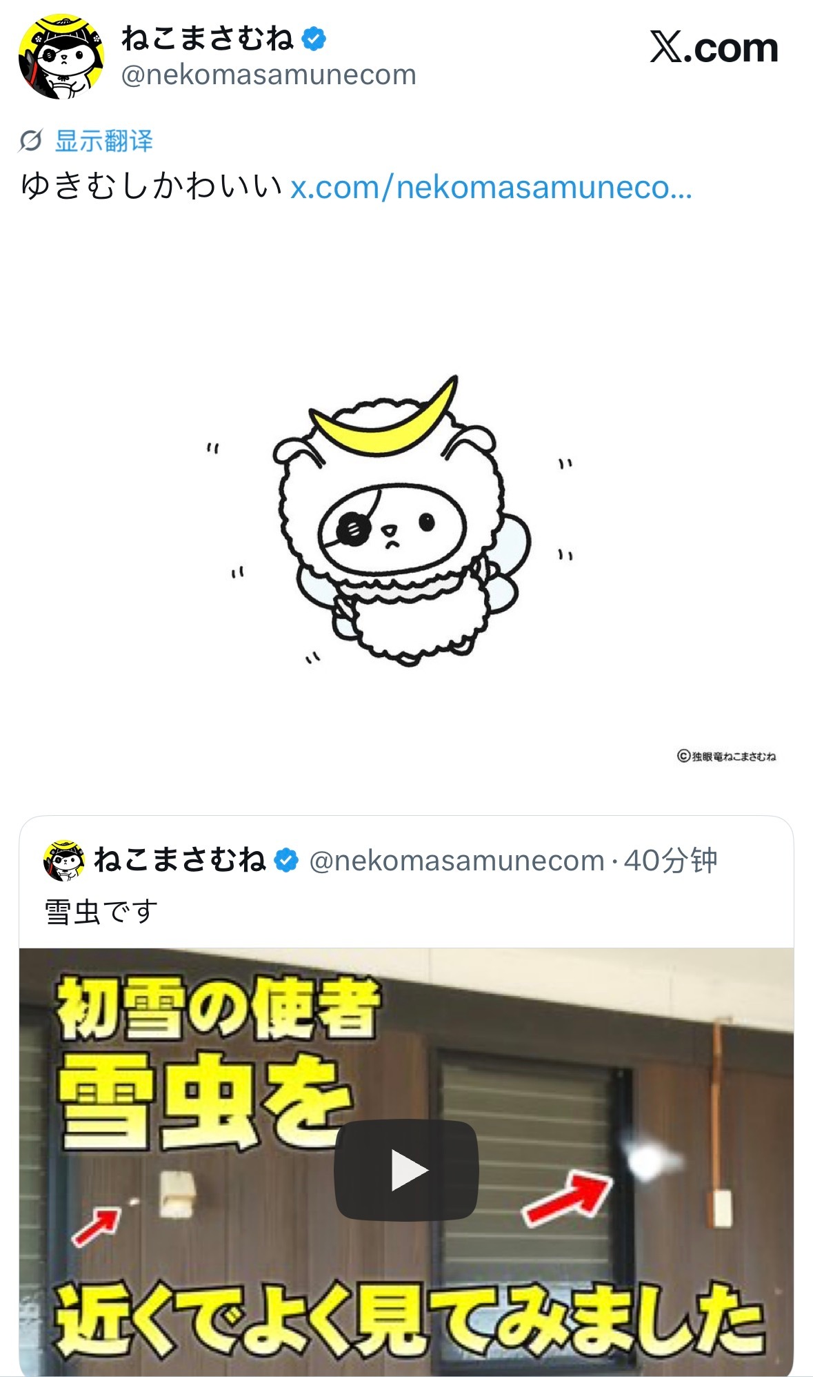 羽生结弦[超话]  话题标签确定✅ゆきむし25📻作业：谈谈怎么入坑的（这这这得