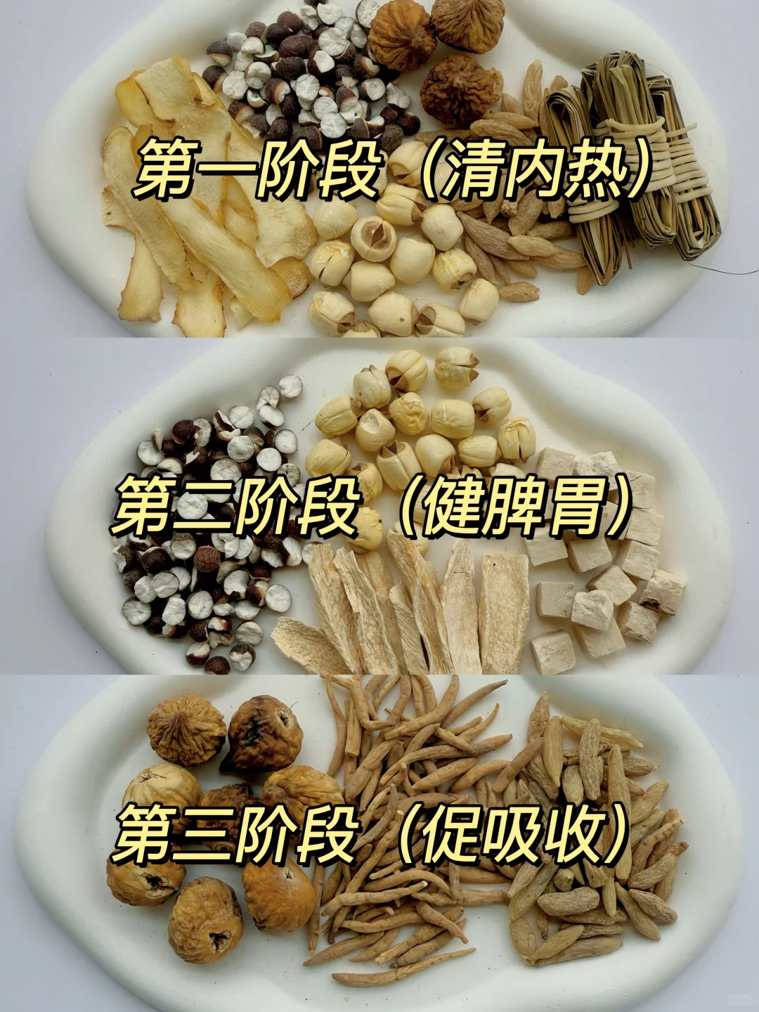 宝宝脾胃调理汤🥣养好脾胃的正确顺序👍