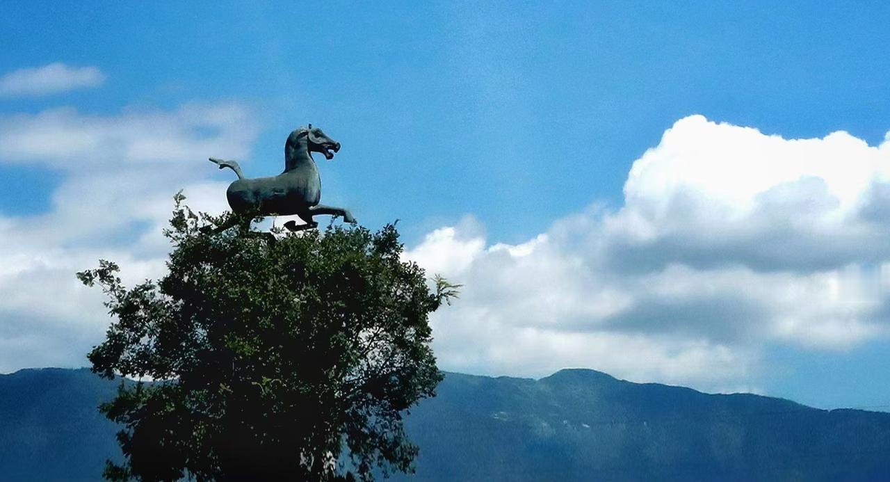 （原创）
天马行空一览无余……
