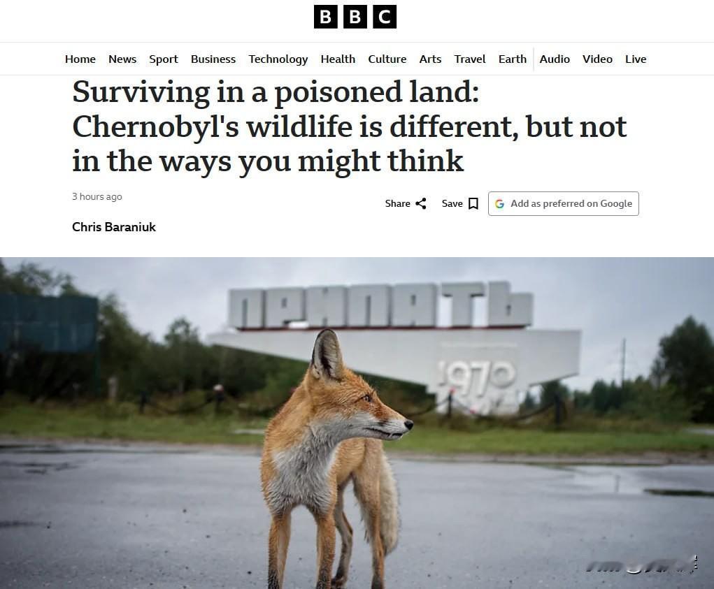 “死亡地带”，生命却愈发繁盛
 
英国广播公司报道，切尔诺贝利核事故过去近四十年