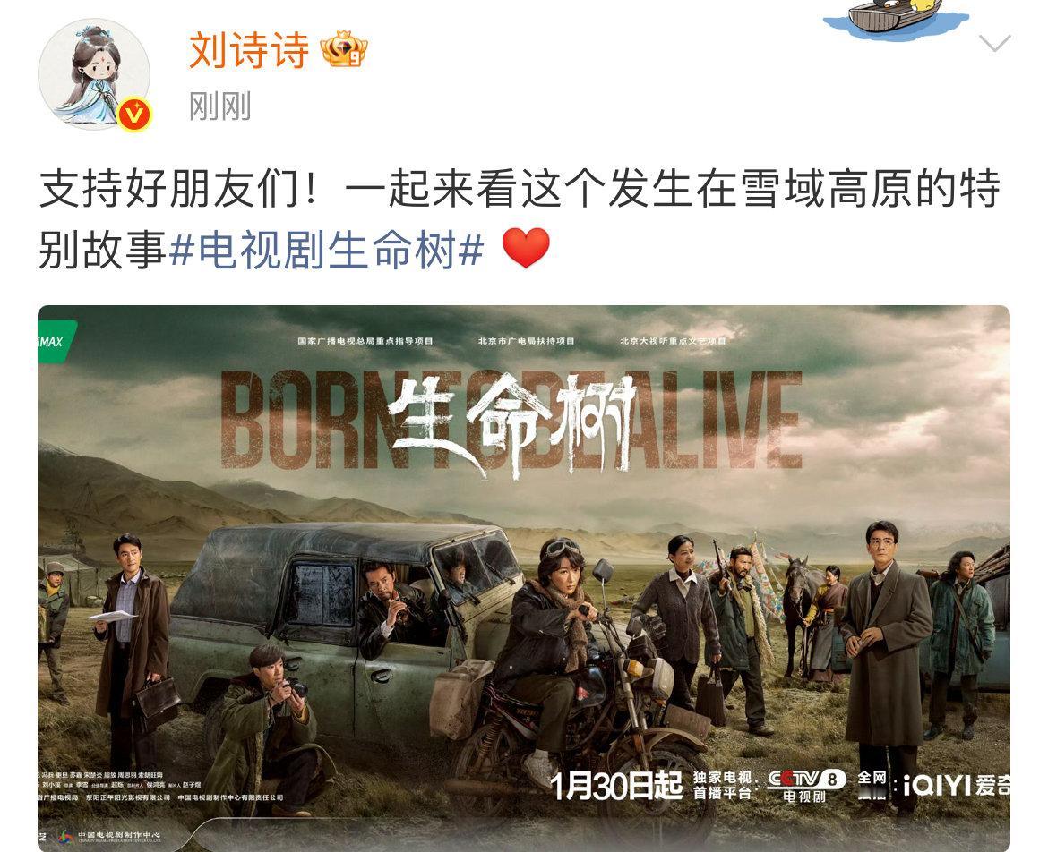 刘诗诗宣传生命树 刘诗诗宣传杨紫胡歌生命树 刘诗诗宣传生命树 